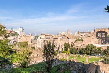 Fototapeta na wymiar Rome, Italy. Ruins of the Roman Forum