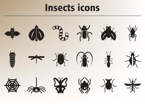 Collection of stylish vector icons insects