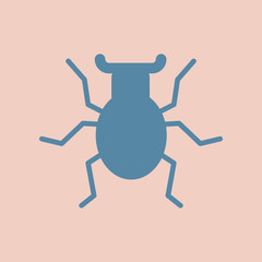 beetle insect