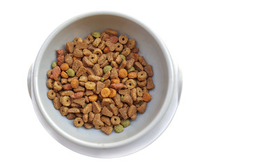Dry cat food in bowl