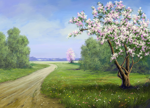Spring, landscape, road, flowers