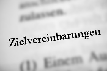 Zielvereinbarungen - schwarz-wei&szlig; Text