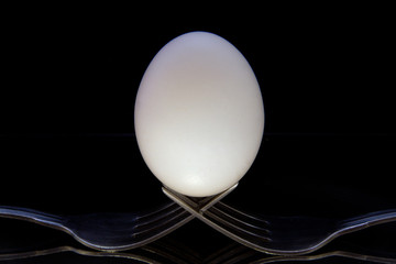 Egg