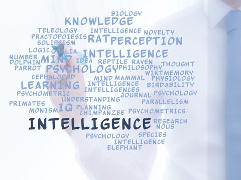 Intelligence