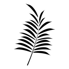 leave palm tropical flora pictogram vector illustration eps 10