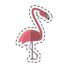 cartoon flamingo bird tropical icon vector illustration eps 10