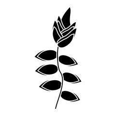 tropical flower plant pictogram vector illustration eps 10