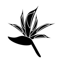 bird of paradise flower pictogram vector illustration eps 10