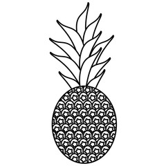 sweet pineapple tropical fruit thin line vector illustration eps 10