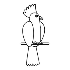 cockatoo bird tropical thin line vector illustration eps 10