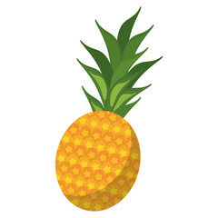 sweet pineapple tropical fruit icon vector illustration eps 10