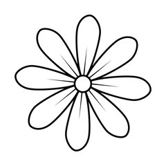 monochrome contour of daisy flower icon floral design vector illustration