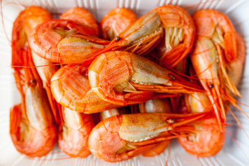 shrimps  on white background