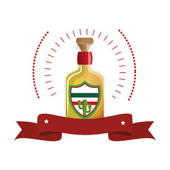 colorful arch bottle of tequila with cork and ribbon vector illustration