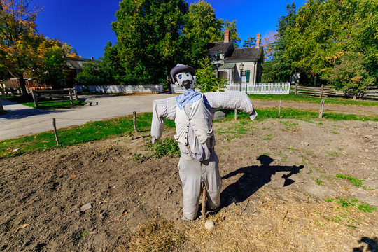 gorgeous amazing mystique view of scarecrow and his shadow friend, standing in farm garden and get ready for Halloween party