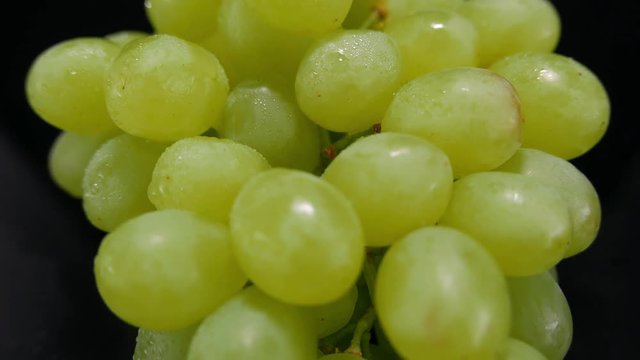A bunch of grapes in a close up shot