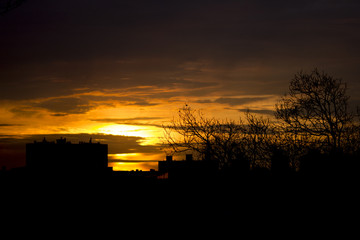 Obraz premium Atardecer