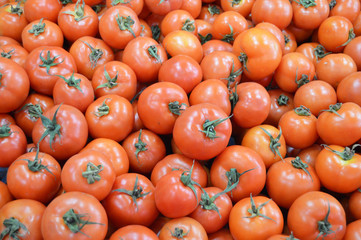 Pictures of organic tomatoes in grocery and grocery sale sections
