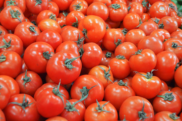 Pictures of organic tomatoes in grocery and grocery sale sections
