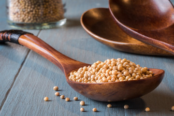 A spoonful of yellow mustard seeds