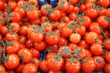 Pictures of organic tomatoes in grocery and grocery sale sections

