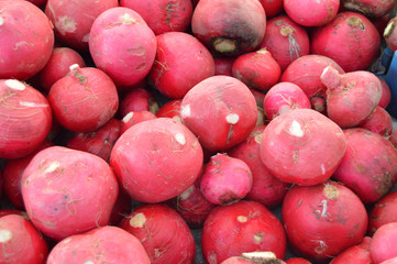 Organic and healthy turnip pictures on greengrocery

