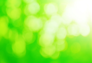 Obraz premium Abstract green bokeh light background