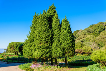 Garden decoration at the peak of Doi Inthanon in Chiang Mai, Thailand