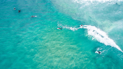 Fototapeta premium Surfing in Laguna Beach 