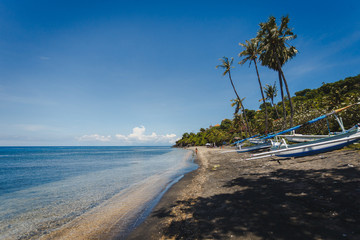ocean landscape from a view point