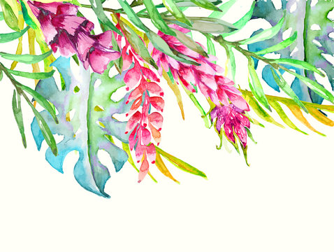 Watercolor tropical plants for your designs 