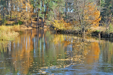 Autumn on the river