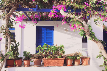 Fototapeta na wymiar Traditional greek house facade, Greece
