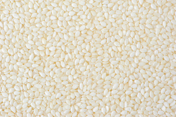 Close up clean White sesame seed