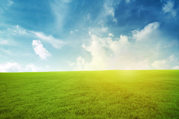 Fototapeta na wymiar Green field under blue sky with many cloud Beauty nature background