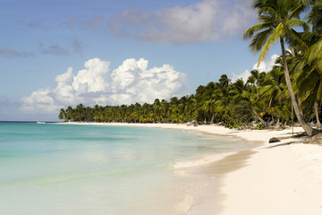 Paradise island 