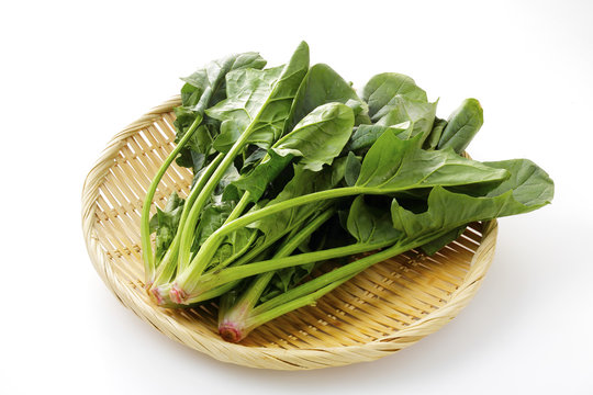 ほうれん草　Spinach