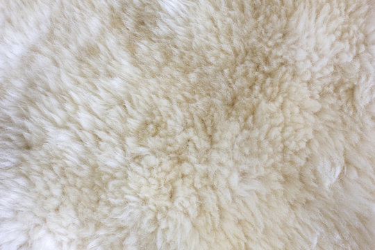 Fur Texture./Fur Texture 