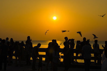Fototapeta na wymiar silhouette people and bird fly in sky seascape natural sunset time