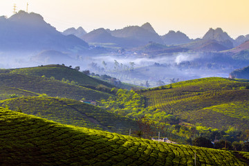 Obraz premium Moc Chau Plateau - A great tourist destination of Vietnam