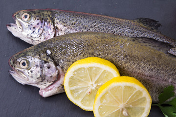 Trout on slate background