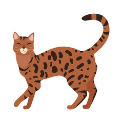 Bengal Cat Vector Flat Design Illustration