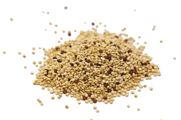 quinoa isolated