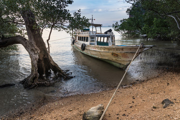 Die Boote von Railay East in Krabi