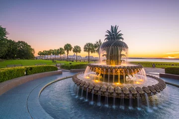 Poster   Pineapple Fountain at Charleston, South Carolina © f11photo