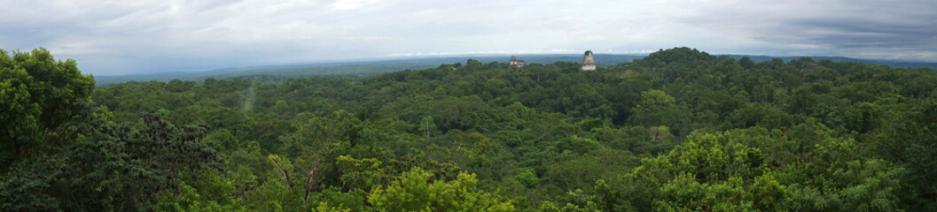 Fototapeta na wymiar Tikal Pyramids / Tikal, Guatemala 