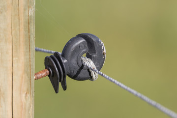 Elektrozaun auf Weide