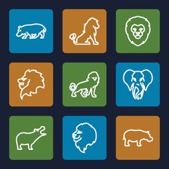 Set of 9 safari outline icons