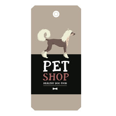 Poster Pet Shop Design label Vector Illustration Chinese Crested Dog