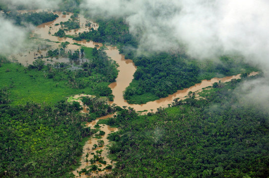 Rain Forrest / Guatemala